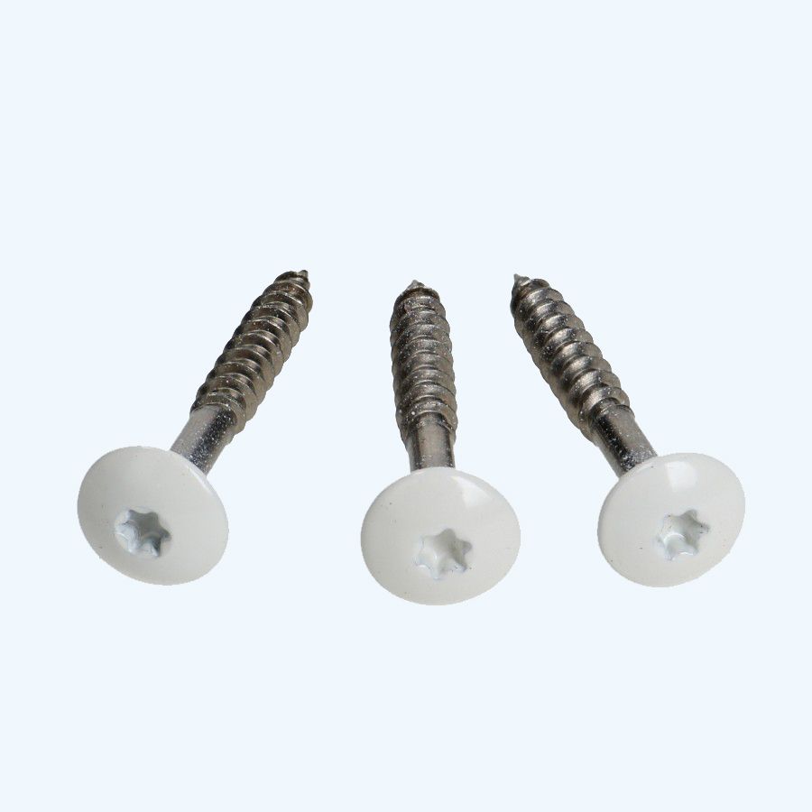 100 stuks kleurkopschroeven 4,8 x 38 mm RAL 9010 100 stuks kleurkopschroeven 4,8 x 38 mm RAL 9010